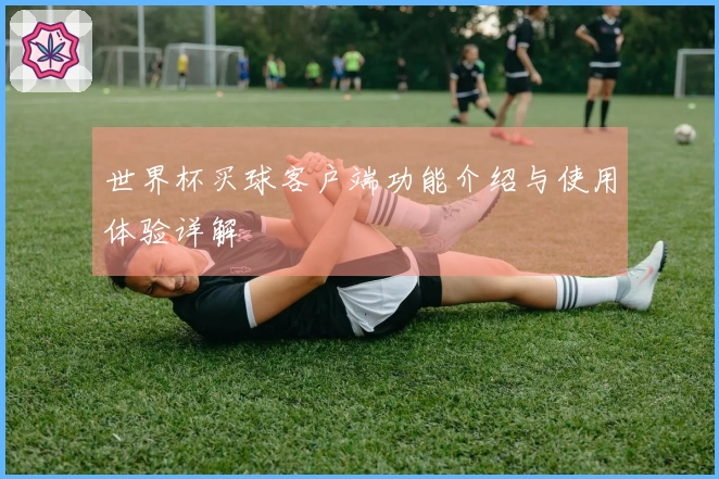 世界杯买球客户端功能介绍与使用体验详解