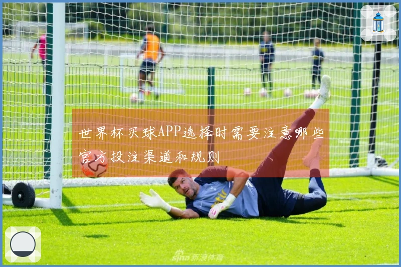 世界杯买球APP选择时需要注意哪些官方投注渠道和规则
