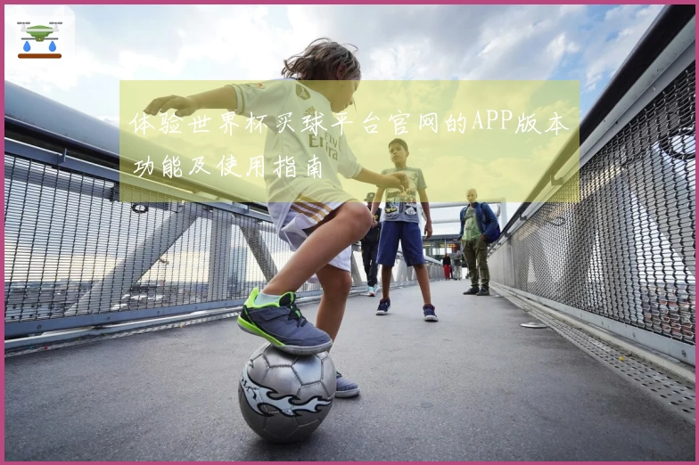 体验世界杯买球平台官网的APP版本功能及使用指南