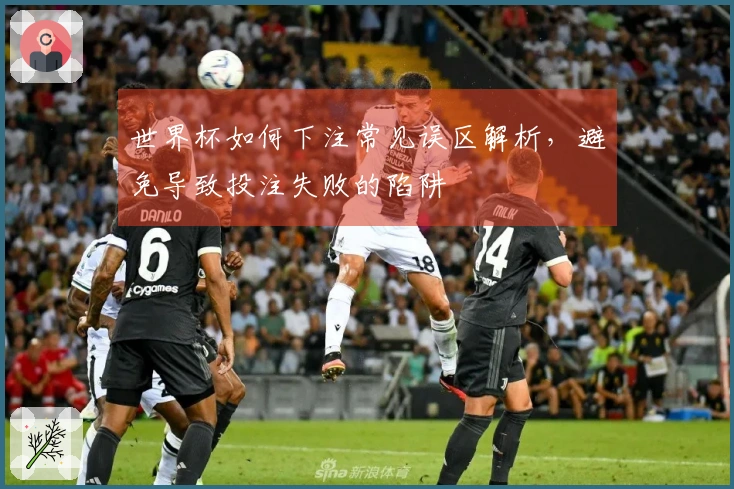 世界杯如何下注常见误区解析，避免导致投注失败的陷阱