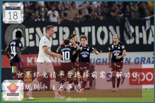 世界杯竞猜平台选择前需了解的体彩规则和注意事项