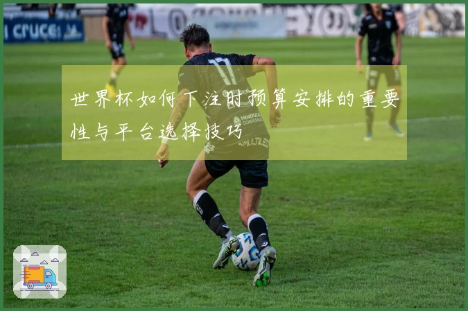 世界杯如何下注时预算安排的重要性与平台选择技巧