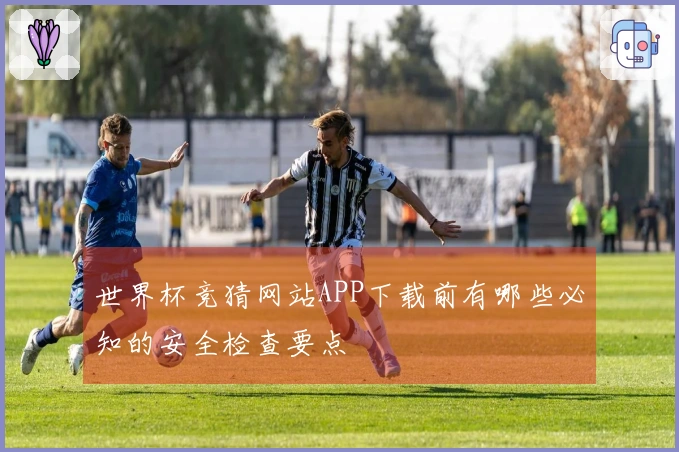世界杯竞猜网站APP下载前有哪些必知的安全检查要点