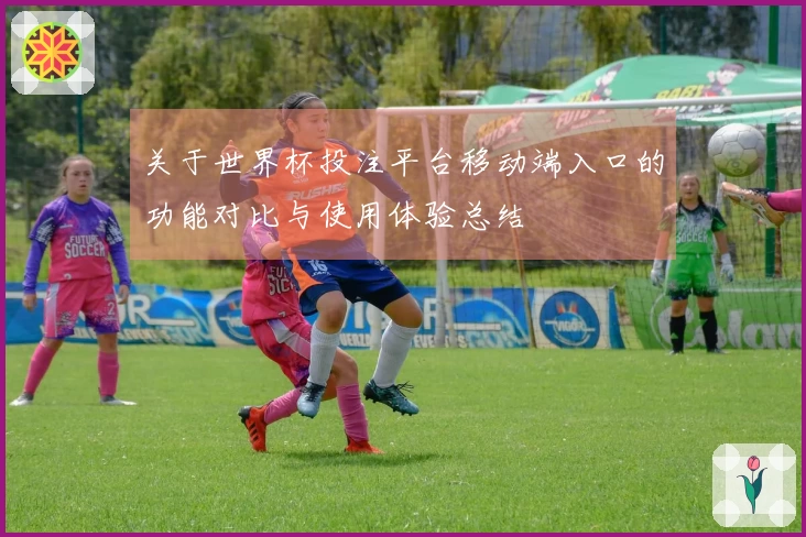 关于世界杯投注平台移动端入口的功能对比与使用体验总结