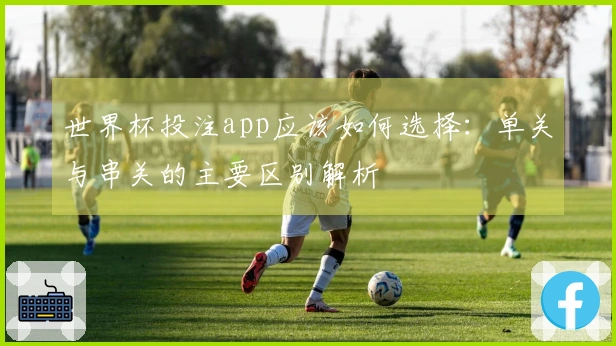 世界杯投注app应该如何选择：单关与串关的主要区别解析