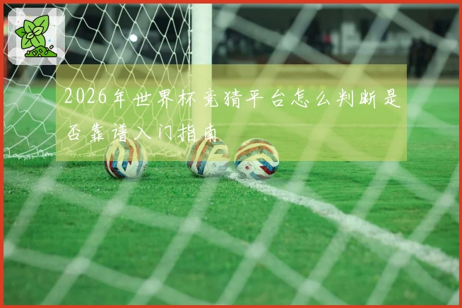 2026年世界杯竞猜平台怎么判断是否靠谱入门指南