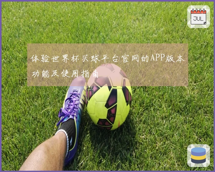 体验世界杯买球平台官网的APP版本功能及使用指南