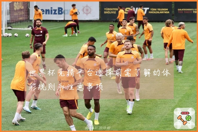 世界杯竞猜平台选择前需了解的体彩规则和注意事项