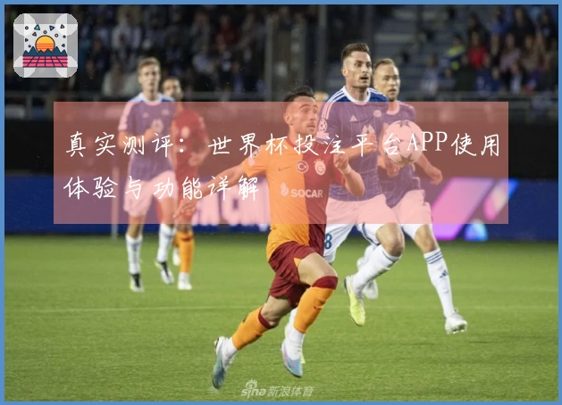 真实测评：世界杯投注平台APP使用体验与功能详解