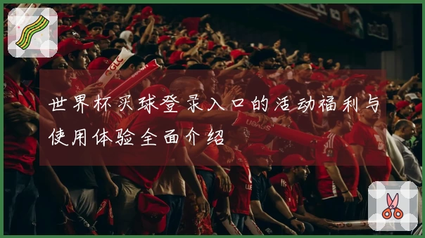 世界杯买球登录入口的活动福利与使用体验全面介绍