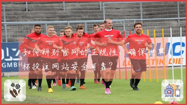 如何辨别官网的正规性，确保世界杯投注网站安全可靠？