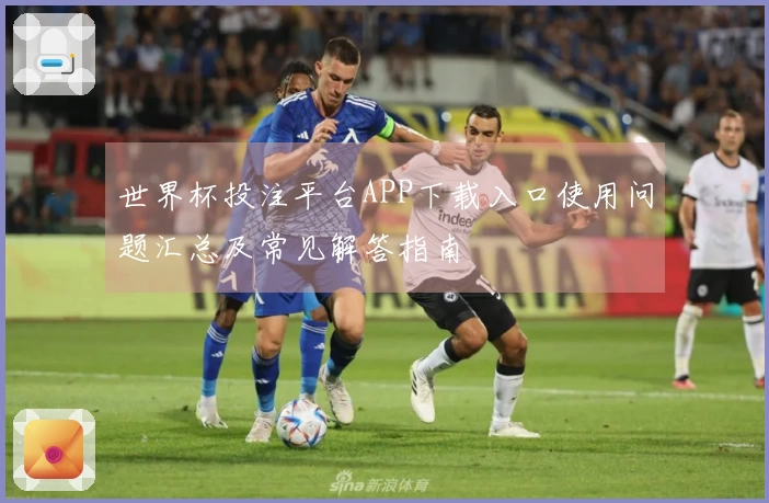 世界杯投注平台APP下载入口使用问题汇总及常见解答指南