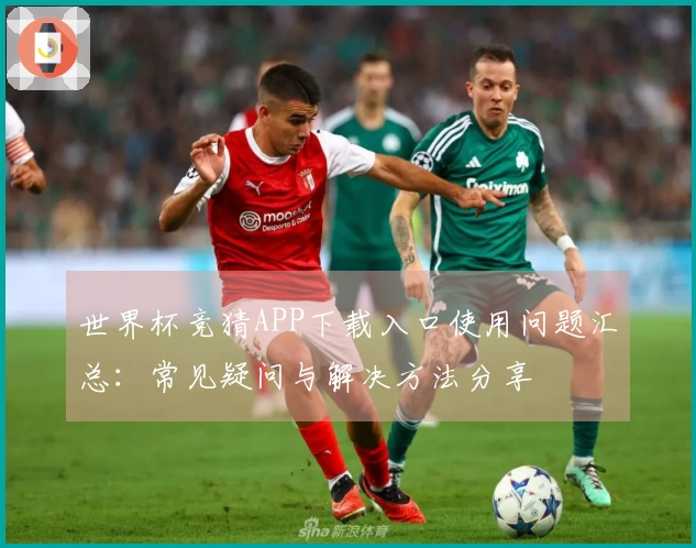 世界杯竞猜APP下载入口使用问题汇总：常见疑问与解决方法分享