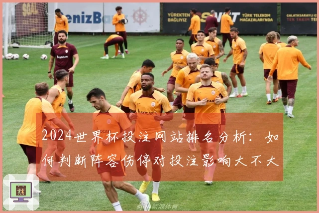 2024世界杯投注网站排名分析：如何判断阵容伤停对投注影响大不大