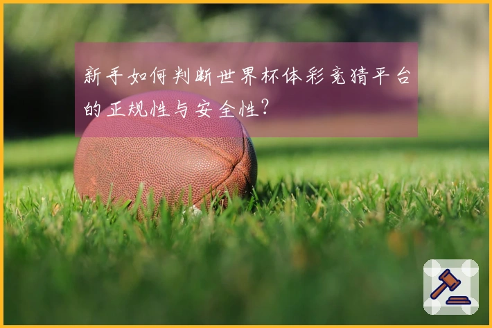 新手如何判断世界杯体彩竞猜平台的正规性与安全性？