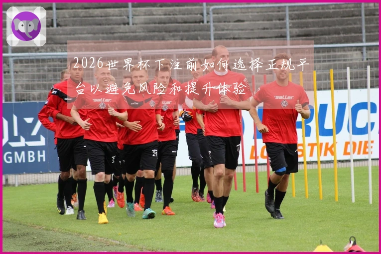2026世界杯下注前如何选择正规平台以避免风险和提升体验
