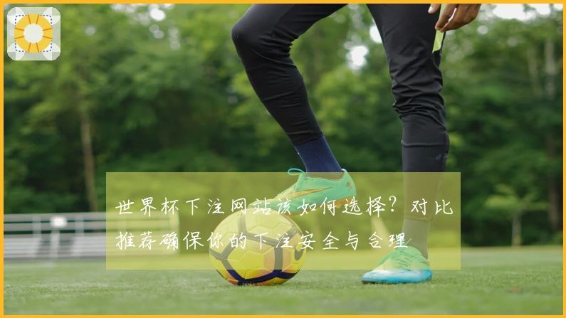 世界杯下注网站该如何选择？对比推荐确保你的下注安全与合理