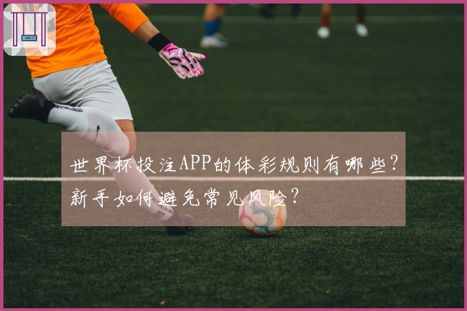 世界杯投注APP的体彩规则有哪些？新手如何避免常见风险？