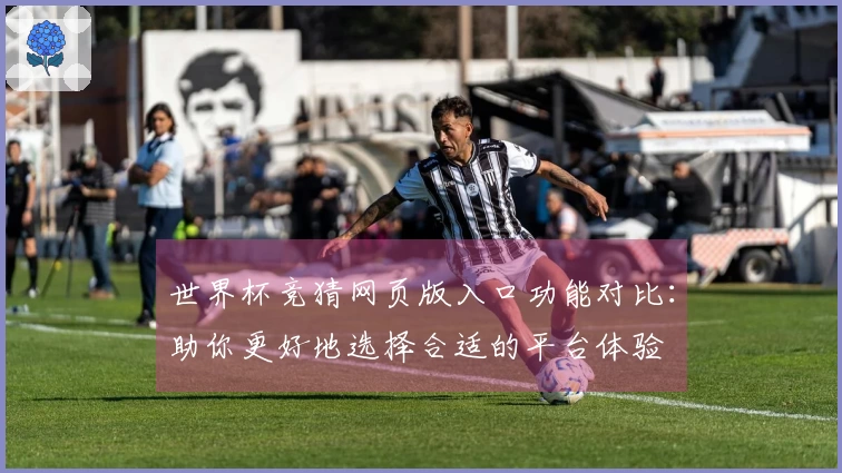 世界杯竞猜网页版入口功能对比：助你更好地选择合适的平台体验